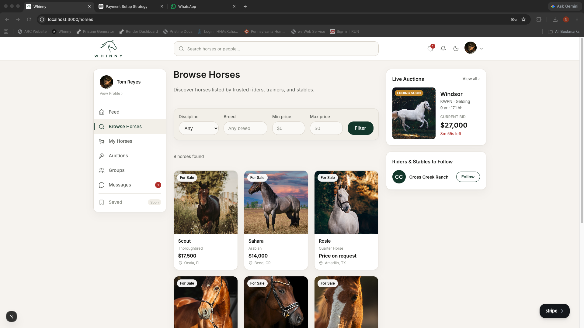 Pegasus, Quarter Horse